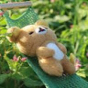 Meet your Posher, Sophia